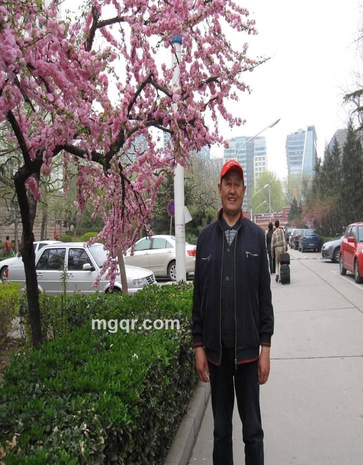 西部使者的头像