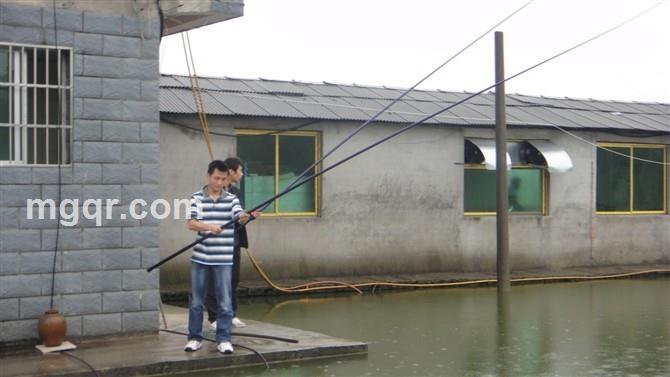 弧度光环的头像