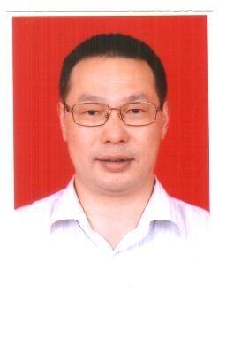 森林之旅的头像