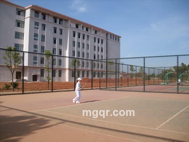 秋天的枫叶的头像