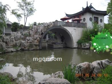 探索人体的头像