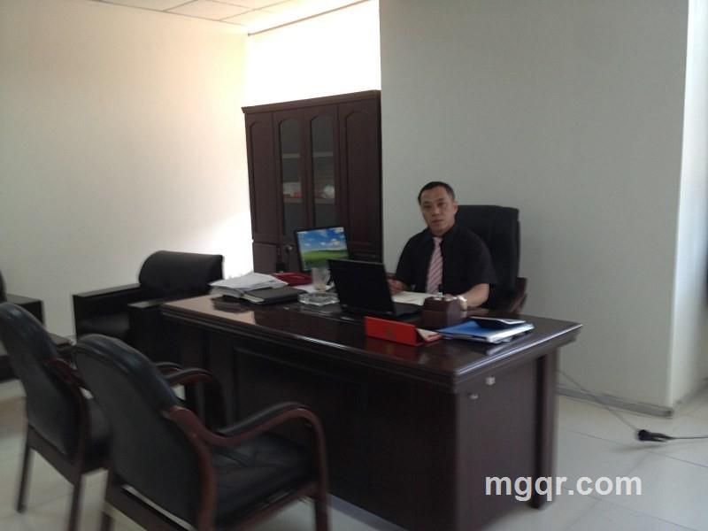 外资公司经理的头像