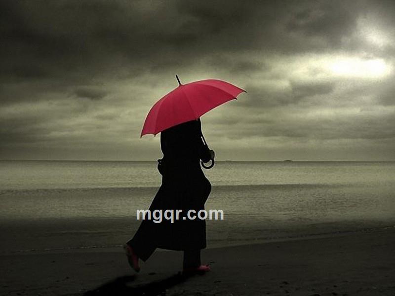 空虚浪子的头像