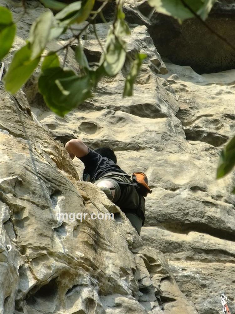 乔老爷爱吃红烧肉的头像