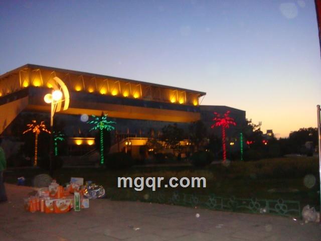 独自在风雨中的头像