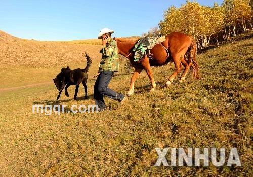 寂寞的小蝌蚪的头像