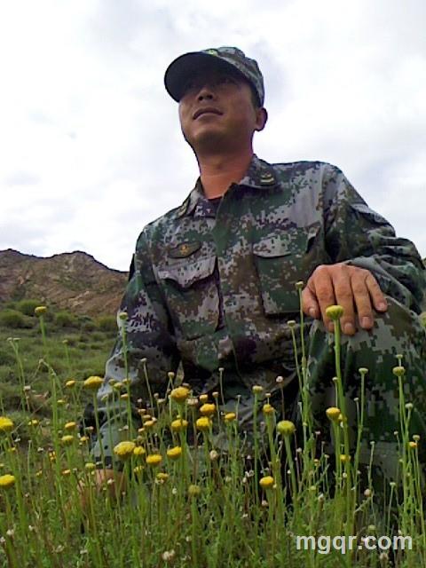 漫步911的头像