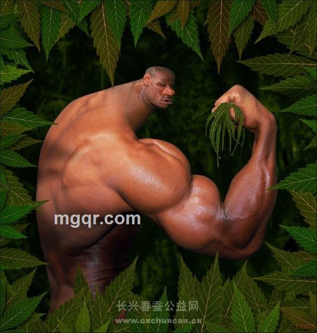 找个f婆加我的头像