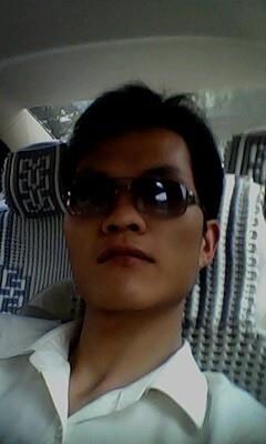 疯狂的猪猪的头像