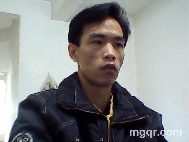 森林狂狼的头像