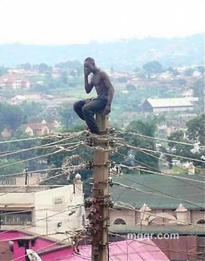 嵯峨流浪者的头像