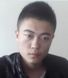 一只小猪的头像