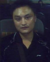 森林中的狼的头像