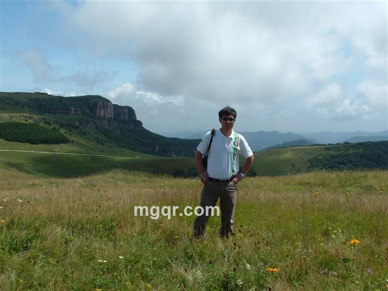 偶尔的浪漫的头像