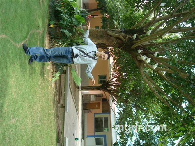 恋上眼前的你的头像