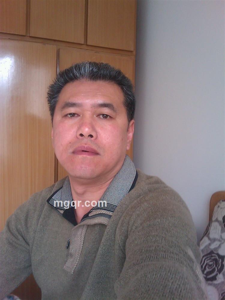 龙在山中的头像