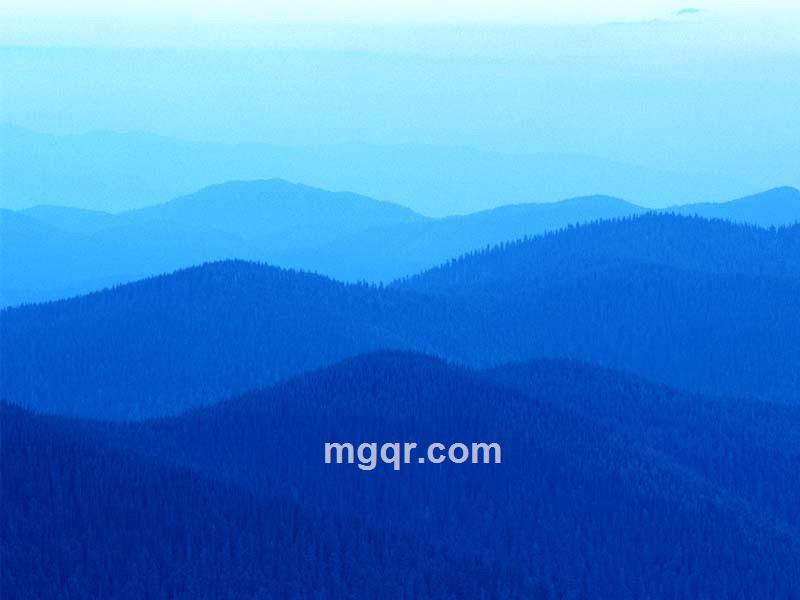 相持不下的头像