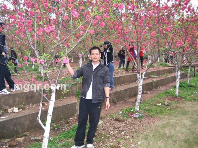 宣言情人的头像