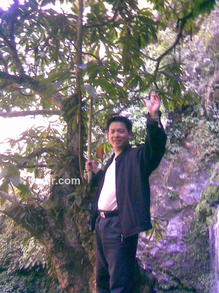 有一个情人来爱的头像