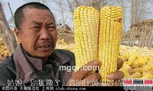 勿忘我爱 的头像