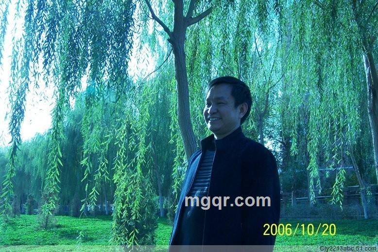 西北老绵羊的头像