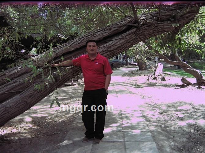 孤鹰258的头像