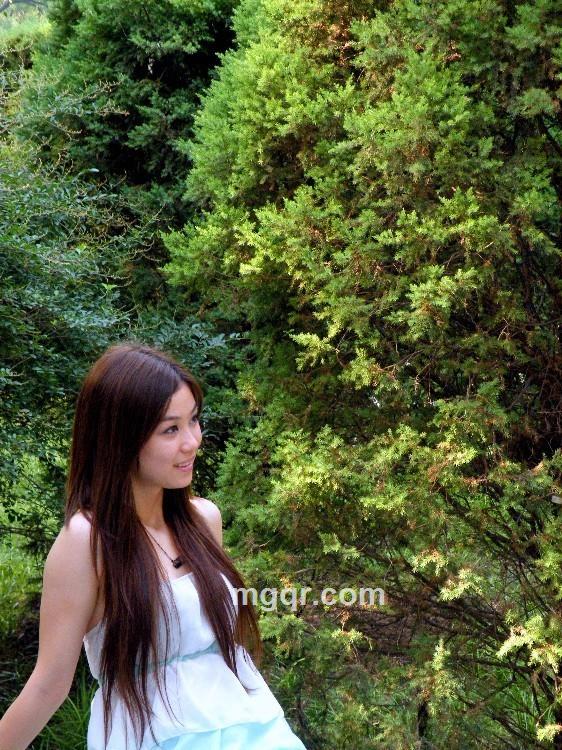 四处游荡的魂的头像