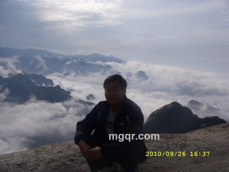 爱你的心8的头像