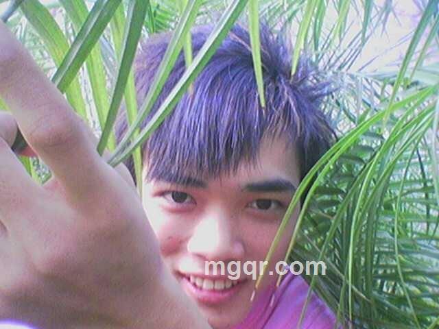 伤感小猪的头像