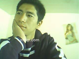 成熟的狼的头像