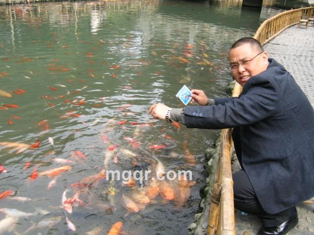 枉为光棍的头像