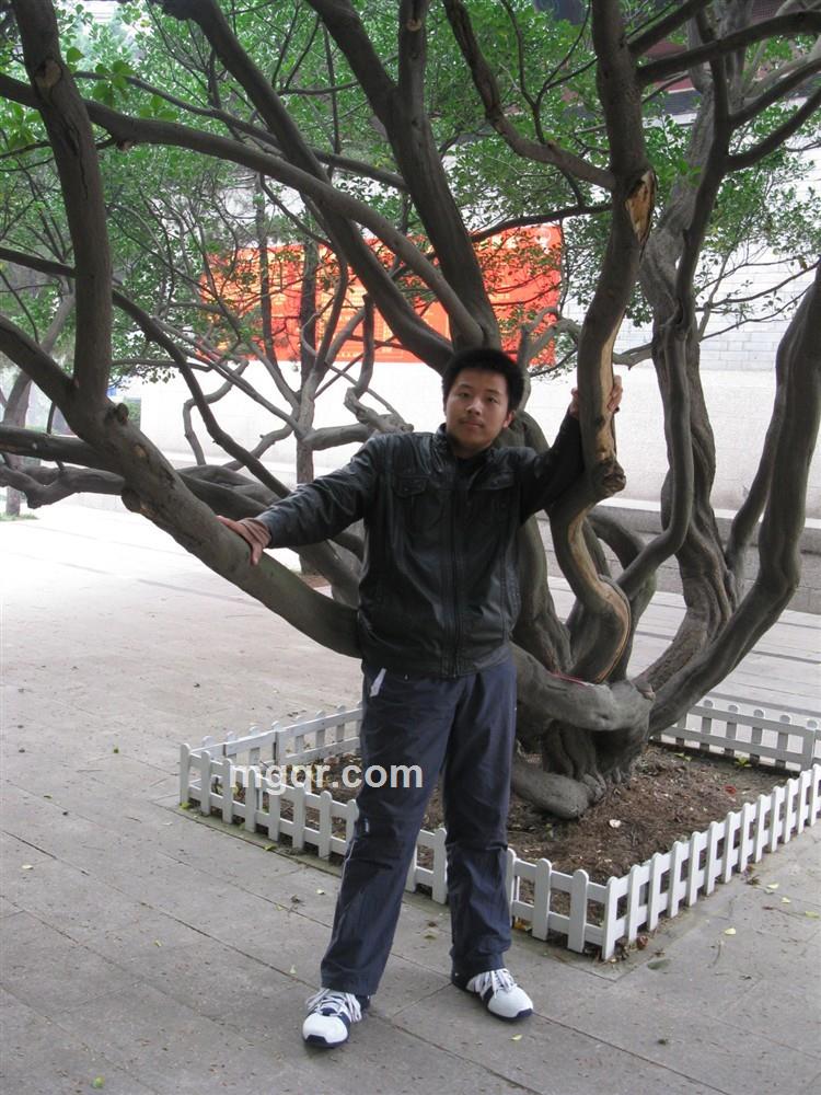 小丢来了的头像