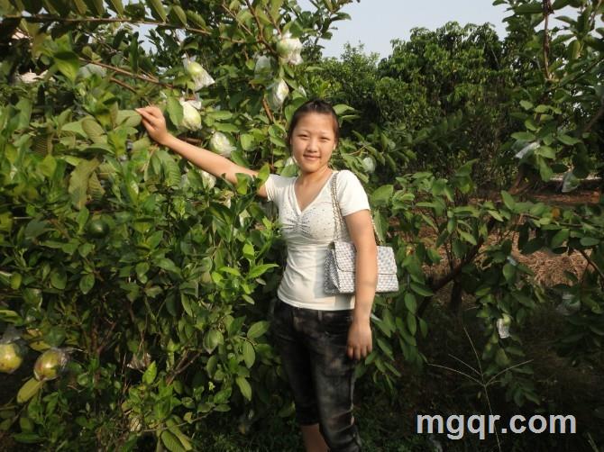 在单车上······的头像