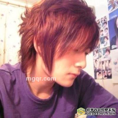 一支竹子的头像