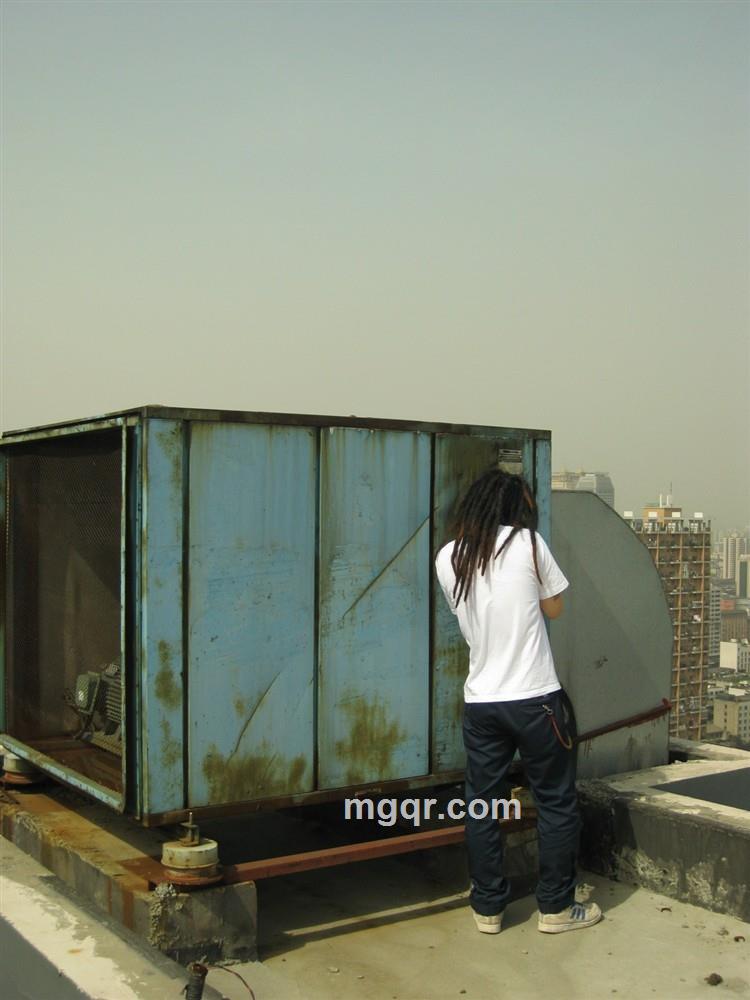 自由梦飞翔的头像