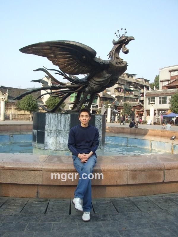 雨中的绿叶的头像