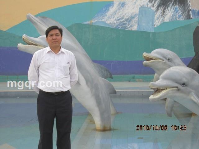 飞翔高高的头像