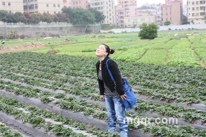 Amy孤独守候的头像