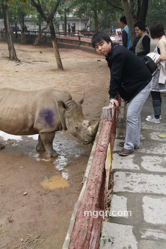 风轻轻的吹过的头像