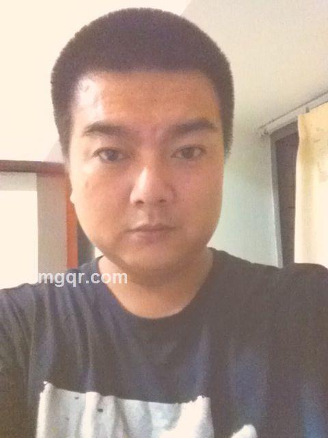 此猪会飞的头像