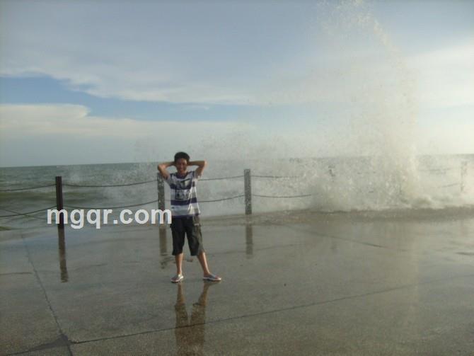 一叶知春的头像