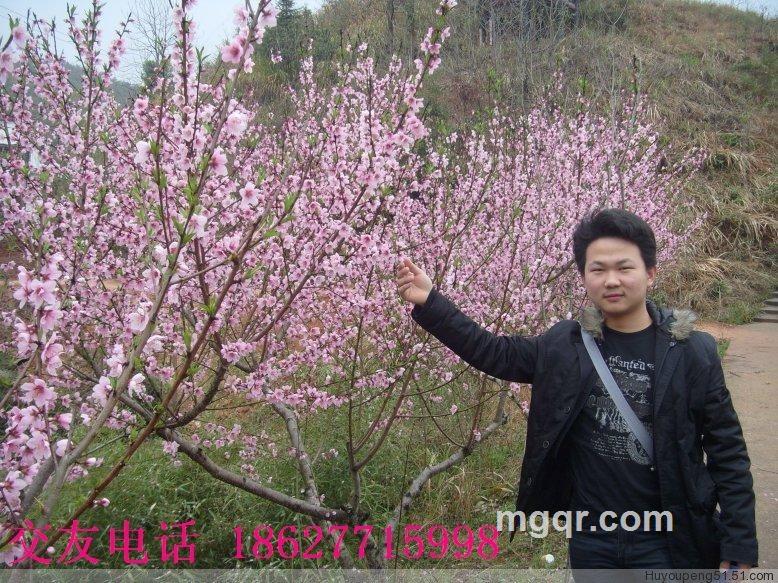 七剑下面条的头像