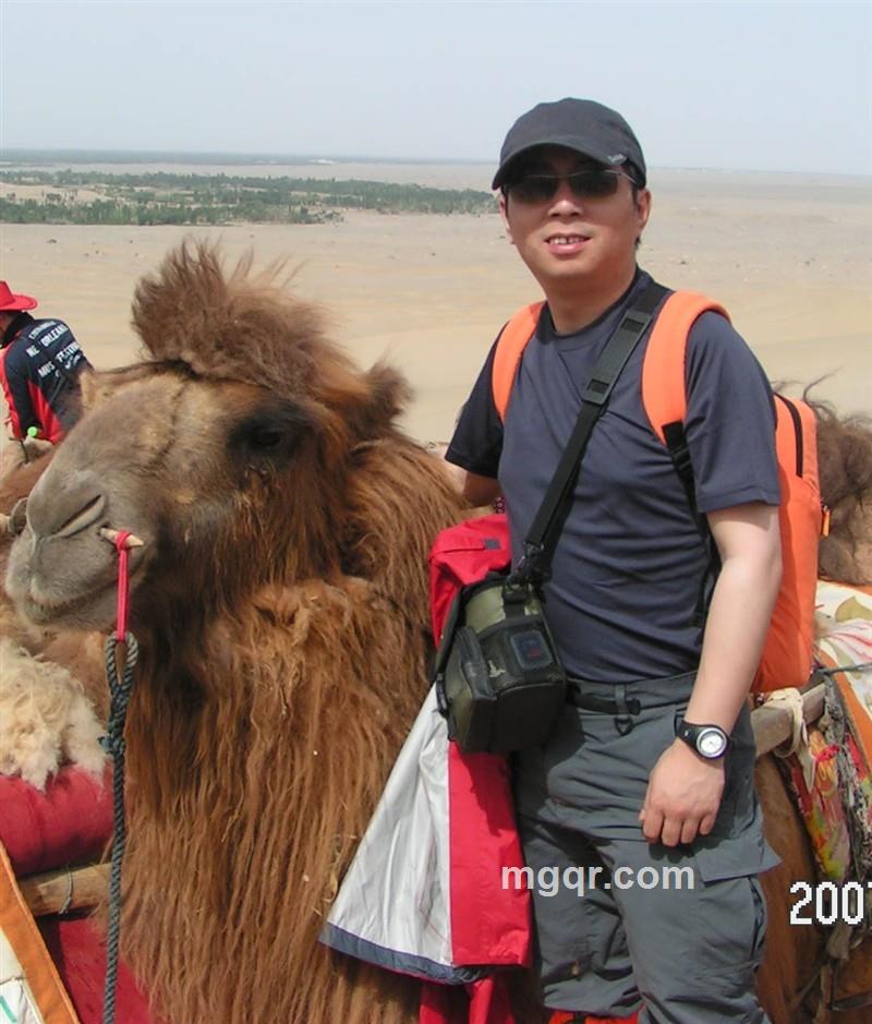 卡西莫多的头像