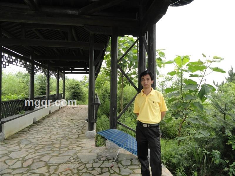 中午一杯茶的头像