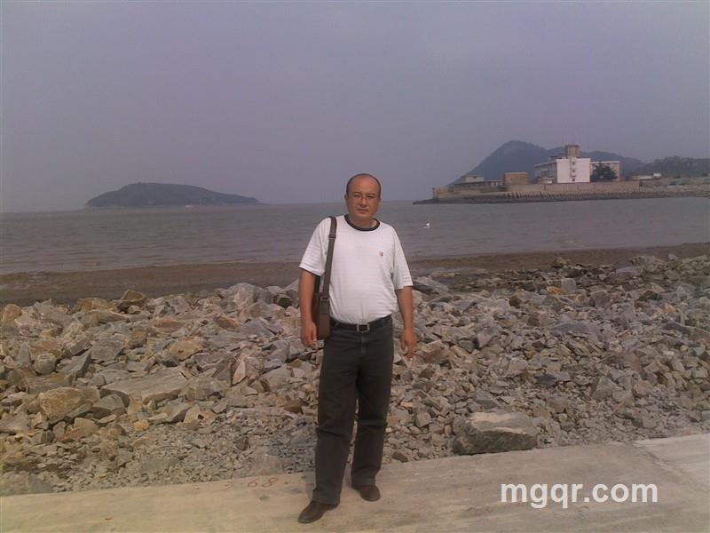 阳光下的苍松的头像