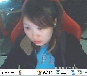 泰迪熊宝宝的头像