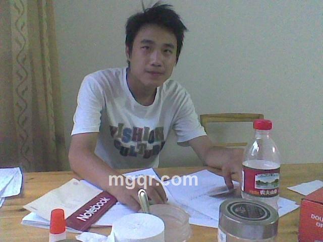 向日葵花心的头像