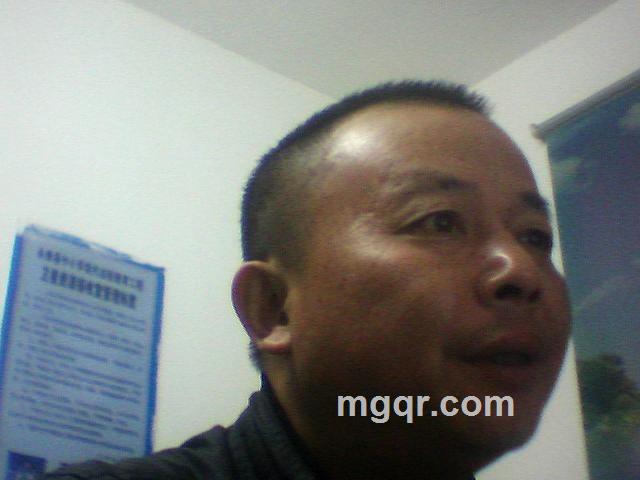 自由的生活的头像