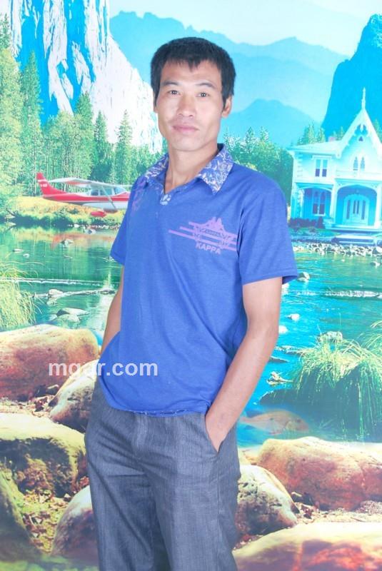 真心的有没的头像