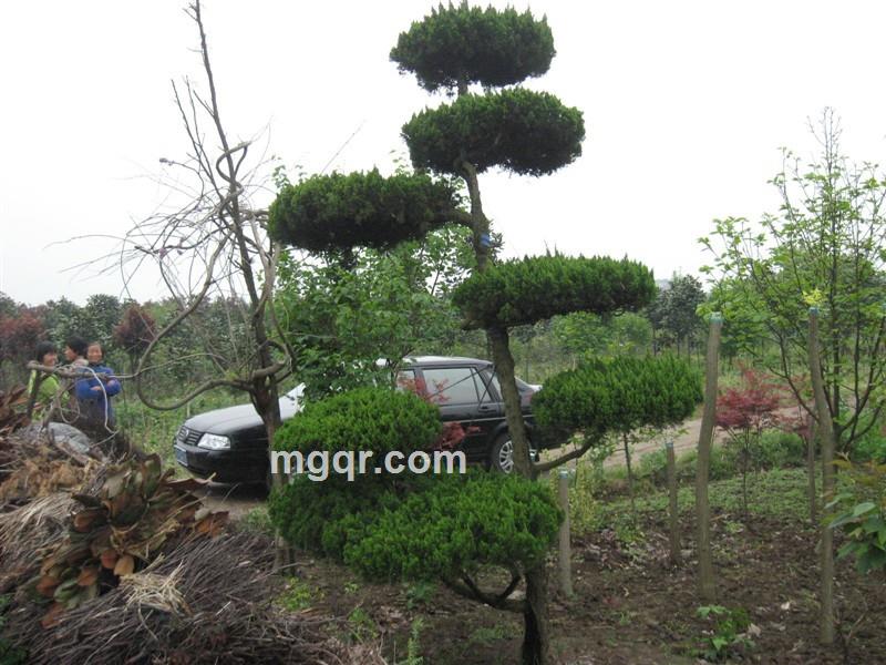 五彩生活的头像